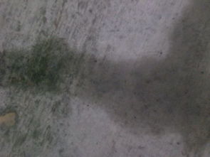 入住不满一年新小区频现质量问题，官方回应竟如此！