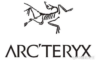 始祖鸟平替产品价格对比