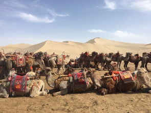 东邪西毒：那股地道的中式武侠味儿