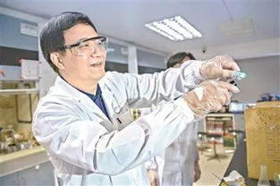 佛山创新'以蚊治蚊'，投放华丽巨蚊幼虫助力防疫