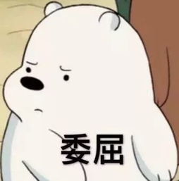 酱子贝融梗风波：真相还是谣言？