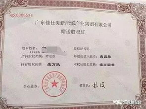 股权证书示意图