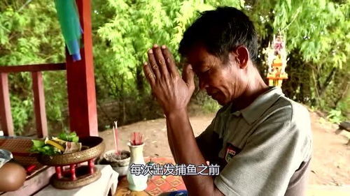 政策走向充满不确定