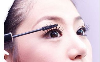 张雅钦鹿晗演唱会应援妆大揭秘！