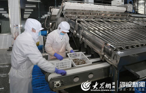 流水线工人工作