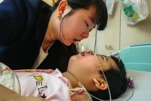 24岁中国男子落地柬埔寨数小时后不幸离世，背后真相令人揪心