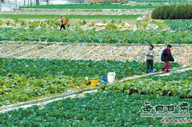 中方回应巴拉圭不应再做乞丐国家：彰显大国担当