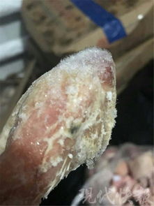 江苏餐饮店惊现冷凝水泡发粉丝，官方通报真相！