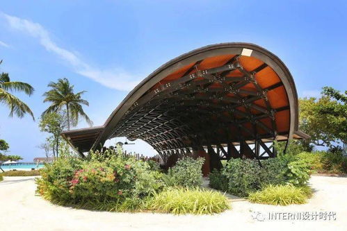 青岛姑娘豪横购入日本70万平小岛，背后故事超精彩！