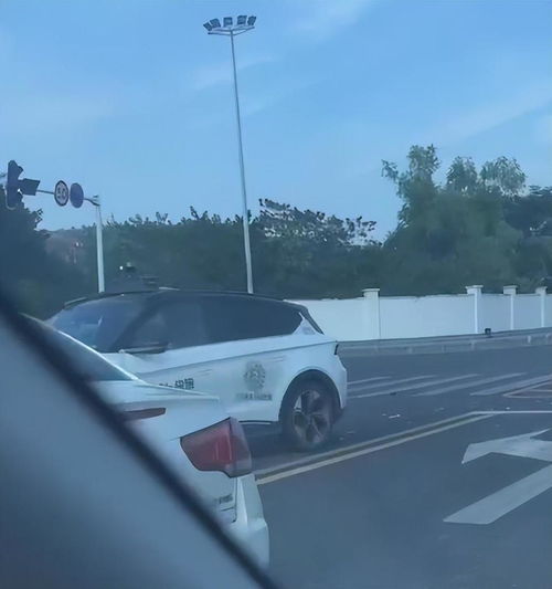 文远知行二季报出炉，Robotaxi营收猛增836.7%