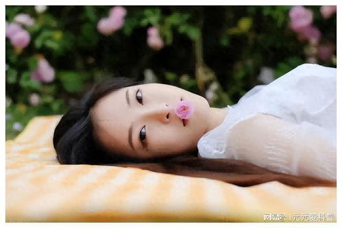 基孔肯雅热VS登革热，傻傻分不清？