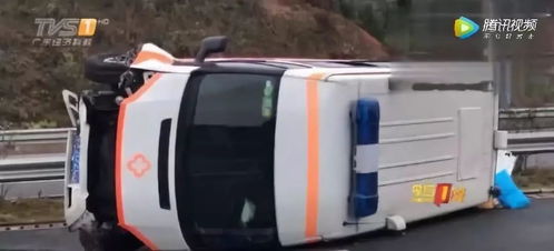 24岁中国男子赴柬数小时惨遭杀害，背后真相令人揪心