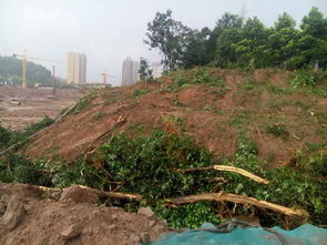 被资本破坏后的农田