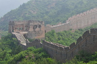 外国友人花式表白中国，超暖！