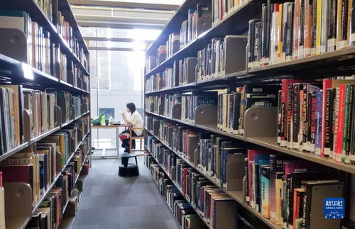 武大图书馆事件背后的故事
