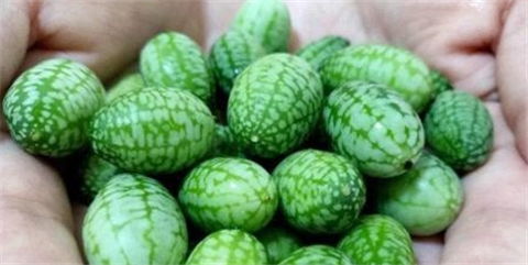 我在韩国惊呆！10元人民币竟只能买一片西瓜？