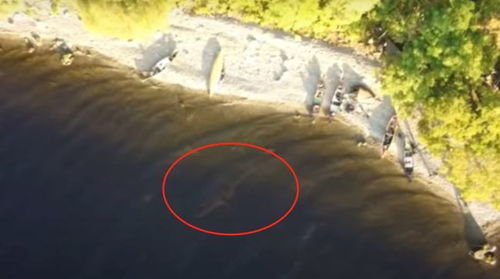 无人机拍摄疑似水怪画面