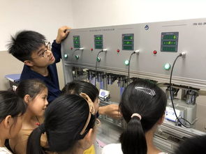 民办本科：直面真实挑战，探寻未来发展之路