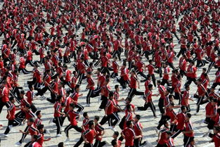 少林寺武术表演场景