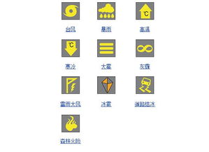 暴雨灾害下的生死自救与施救全攻略