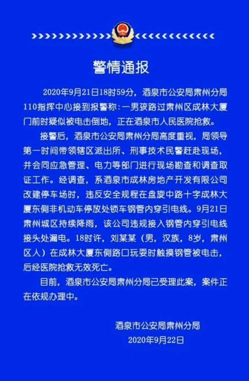 警方公布案件详情海报
