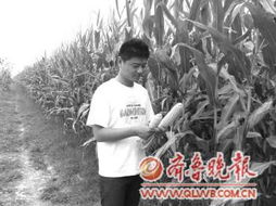 保险机构助力九省区市抗灾：迅速支付赔款解民困