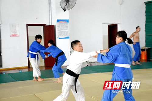 AL归来！零封JDG究竟啥水平？