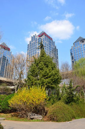 蓝天白云下的城市公园