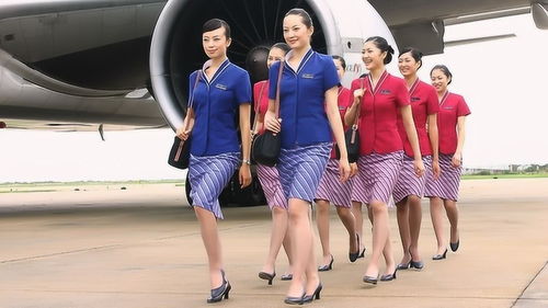 空姐着装变革：平底鞋与裤装成新趋势