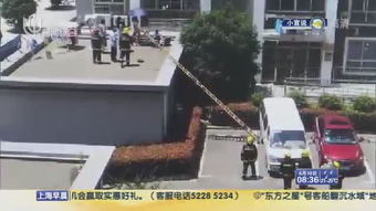 儿童高坠事故现场图