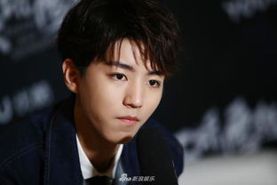 王俊凯接受采访时的照片