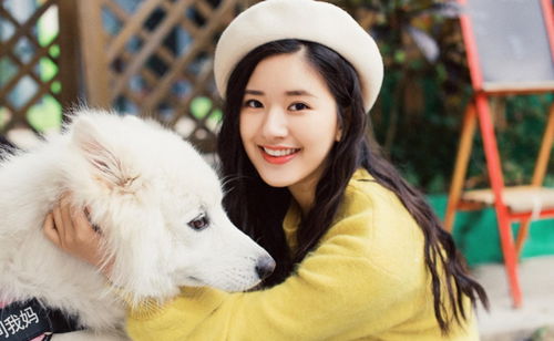 赵露思与银河酷娱那些事儿，真相到底是什么？