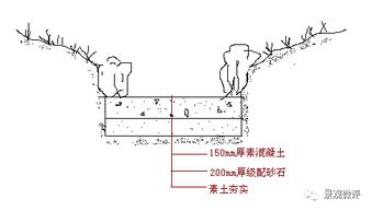 溪流水位变化示意图