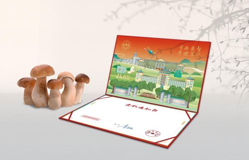 录取通知书做的小鸡炖蘑菇