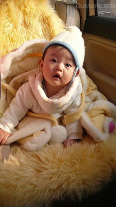 一群叽叽喳喳的小鸡