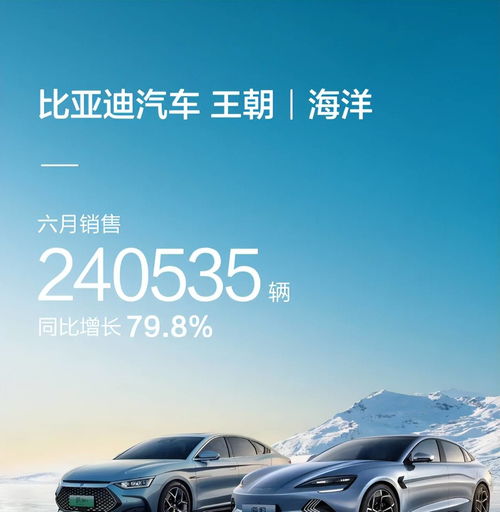 比亚迪海外销售目标