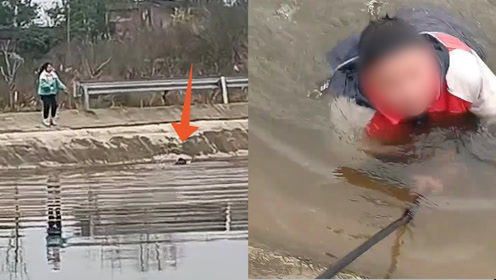 游泳者施救示意图