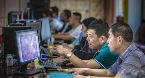 工作人员调查照片