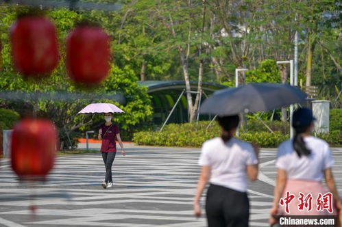 人们顶着烈日在街头行走