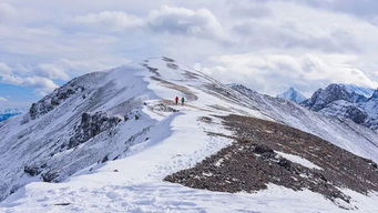浪浪山的小妖怪们，踏上新的征程！