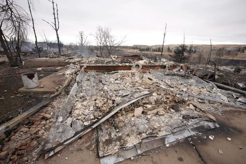 被山火摧毁的房屋残骸
