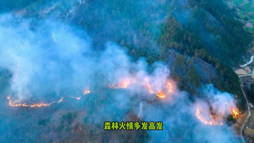 消防员奋力扑救山火