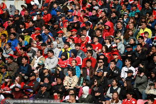 球迷们挥舞着手中的旗帜