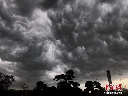 高温暴雨强对流，三重预警下的应对之道
