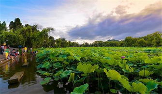 剧中小城美丽的风景
