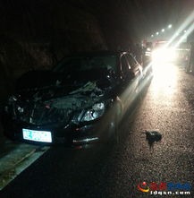 亮证女丈夫被立案调查，背后真相令人震惊！