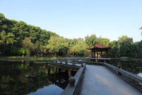 华科女权言论风波再起，背后真相引人深思