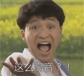 63岁马景涛一个多月在3景区'打工',背后故事引深思