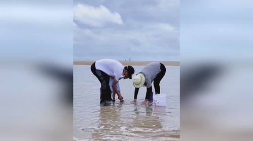 北海赶海悲剧：一家三口遇险，丈夫失踪儿子ICU