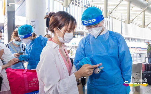 研究人员查看黄蜂巢